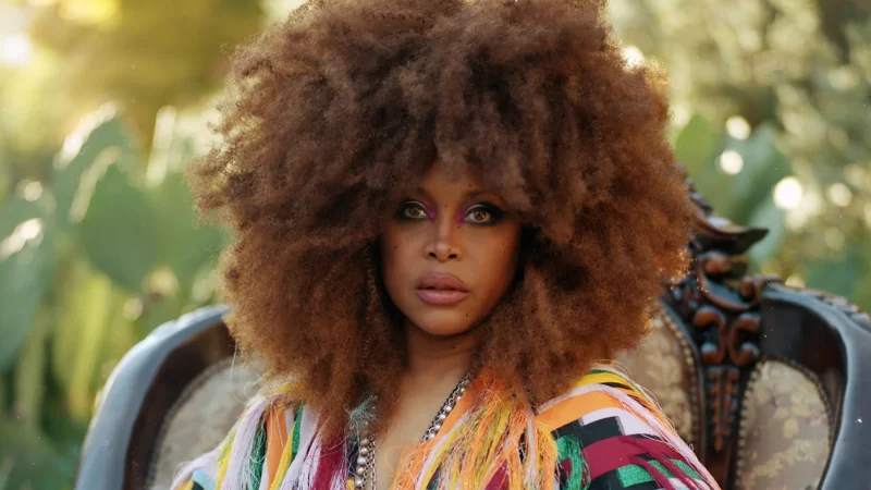 Erykah Badu « Badoula »: de Chanteuse à Doula